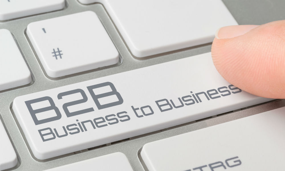 Bussiness to Business (B2B)